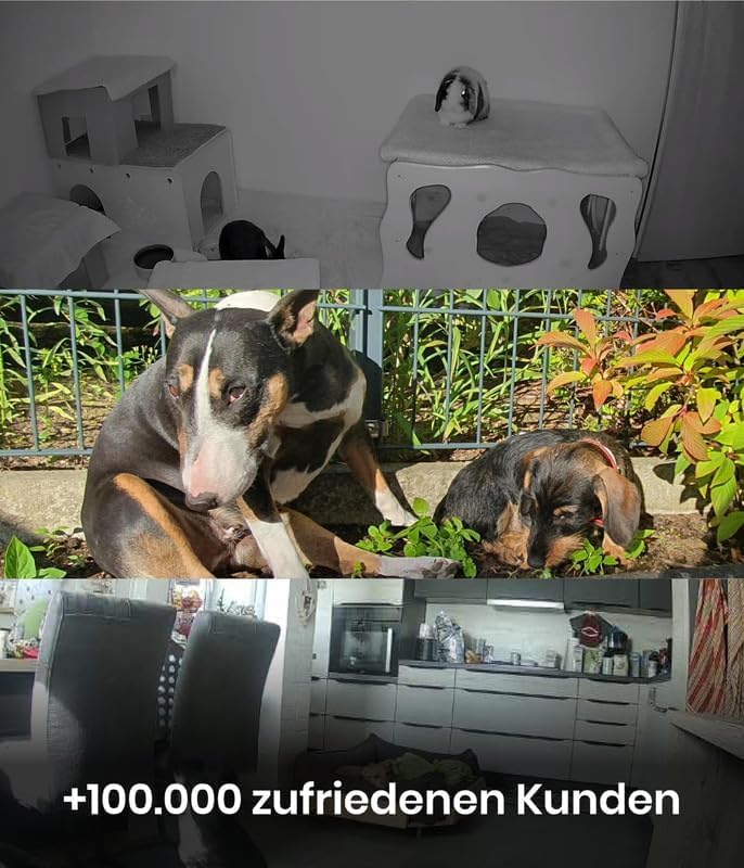 PetTec – Pet Cam Buddy Haustierkamera Futterautomat 8L für Katzen- & Hunde-Trockenfutter – Automatischer Futterspender mit WLAN & App-Steuerung -Inkl. 2-Wege-Audio, Bellerkennung & Nachtsicht