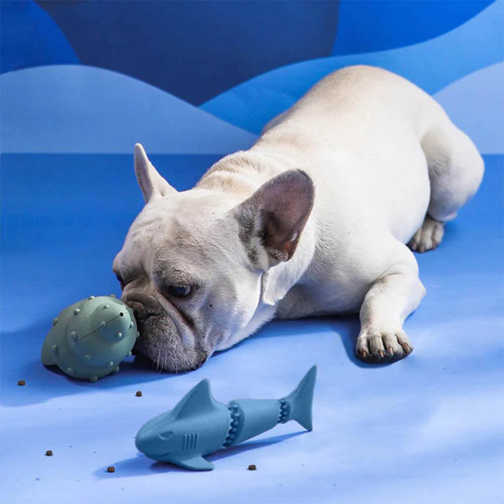 Quietschspa Hundespielzeug-Set – Interaktive Plüsch-Leckereien und Kaue-Spa