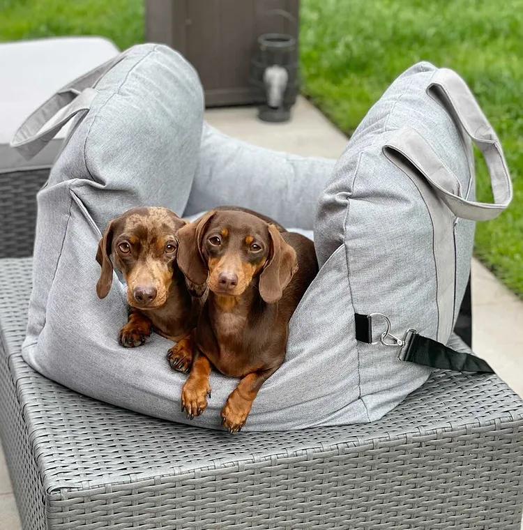 Beruhigendes Hundebett fürs Auto – Sicheres und komfortables Reisen für deinen Vierbeiner