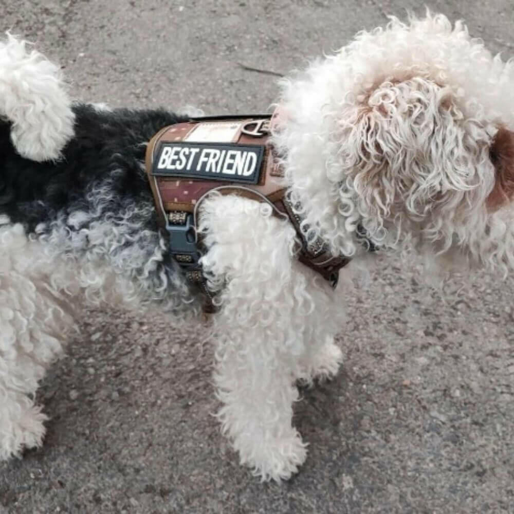 BattlePro – Militrisches Hundegeschirr für starke Kontrolle und Komfort