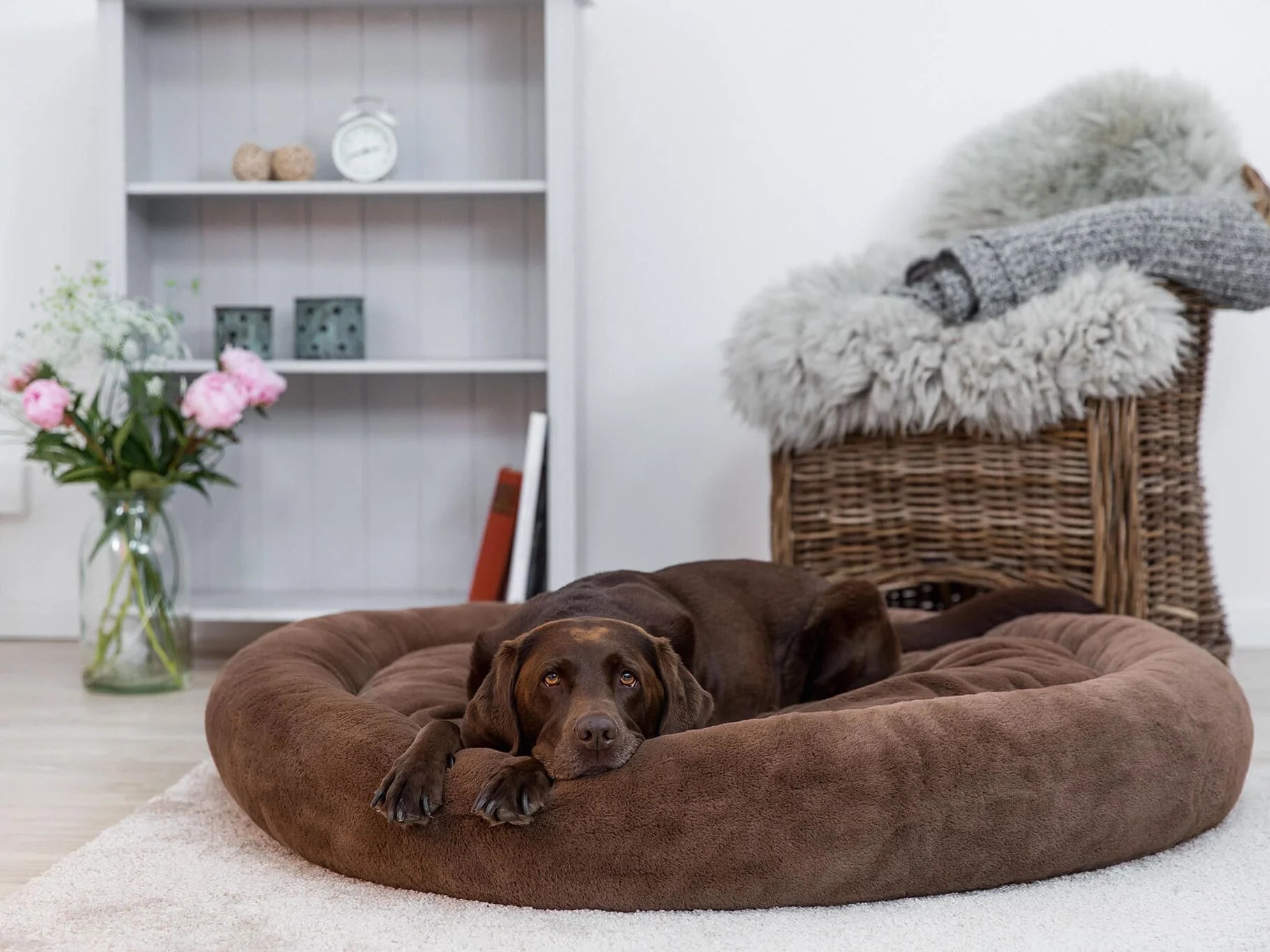 Cuccia Snuggle Silktouch