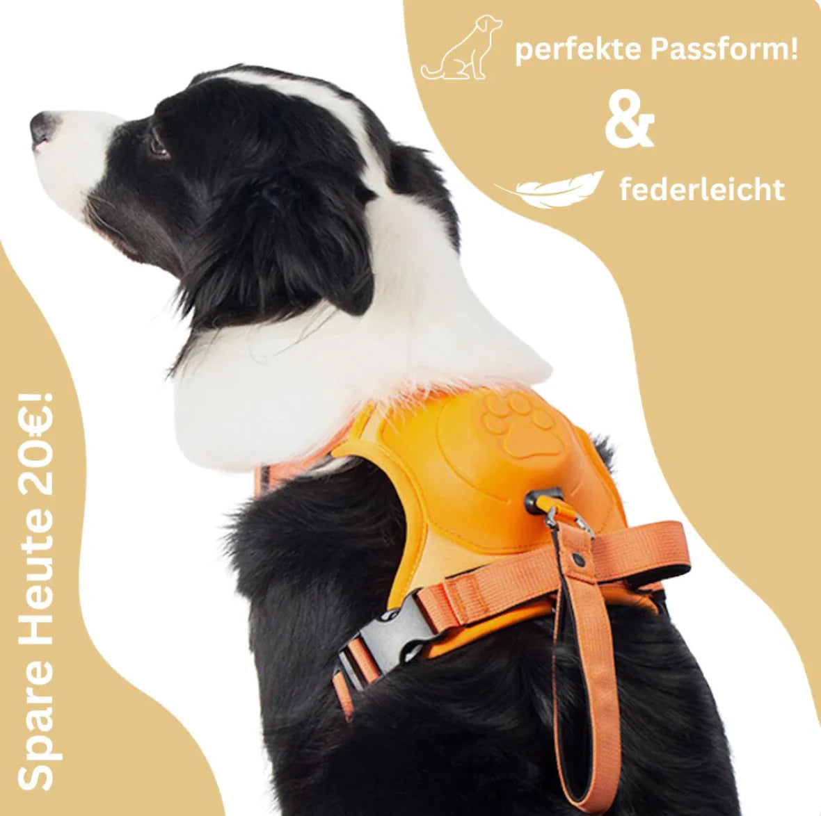 Imbracatura per cani con guinzaglio integrato: comfort e controllo in un'unica soluzione