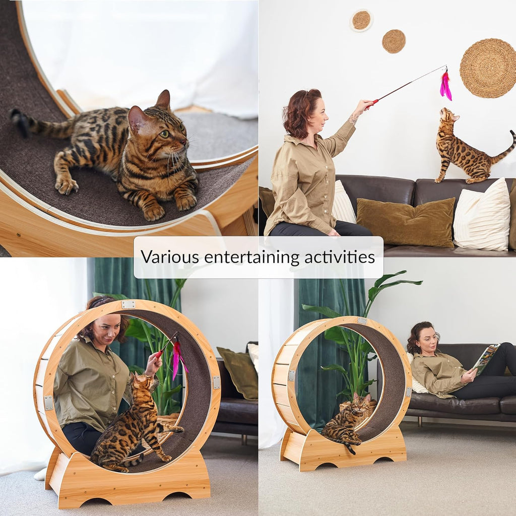 Ruota per gatti grande | Ruota per gatti | Tapis roulant per gatti | Ruota grande per gatti da interno | Giocattolo per l'attività del gatto | Ruota per gatti da interno | Ruota per gatti