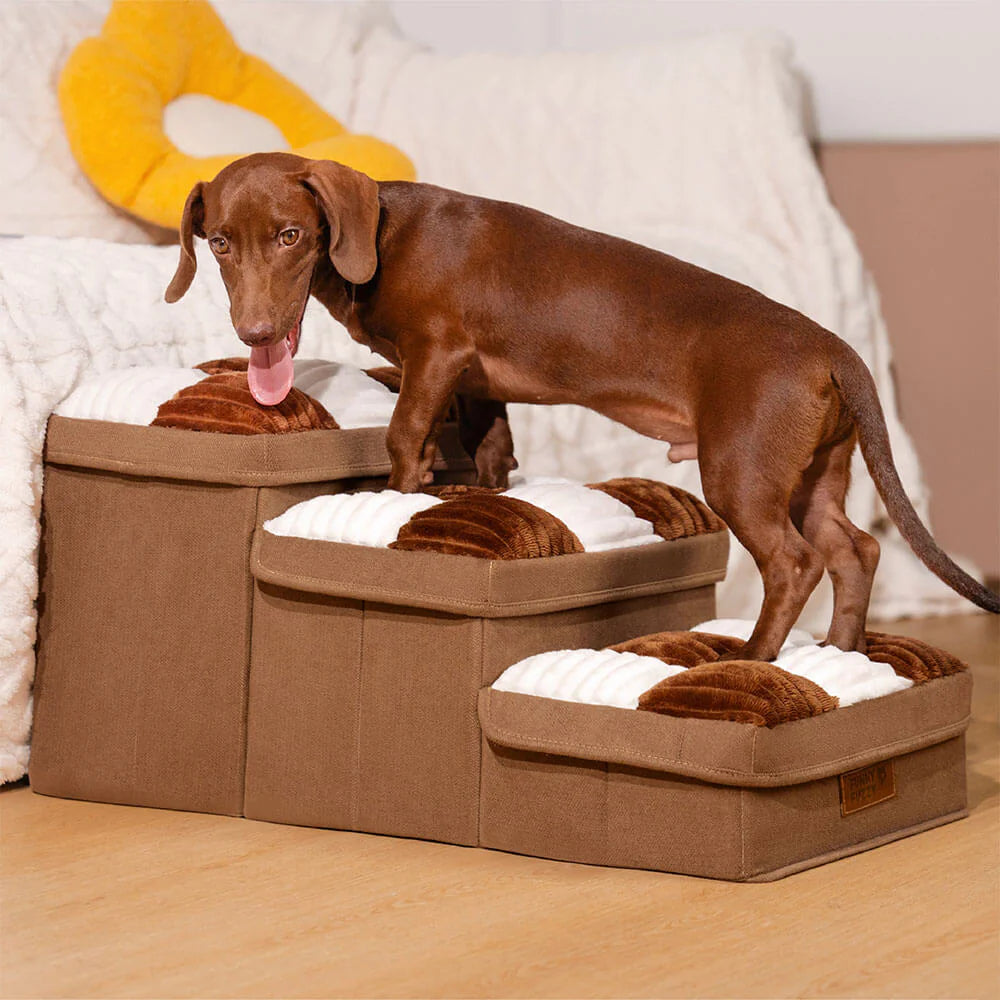 Stylish and handmade dog stairs with practical storage for joint protection