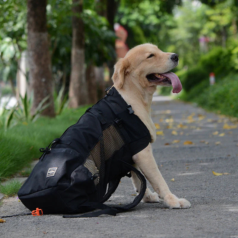 Zaino multifunzionale per cani di taglia media – Comodo e Robusto