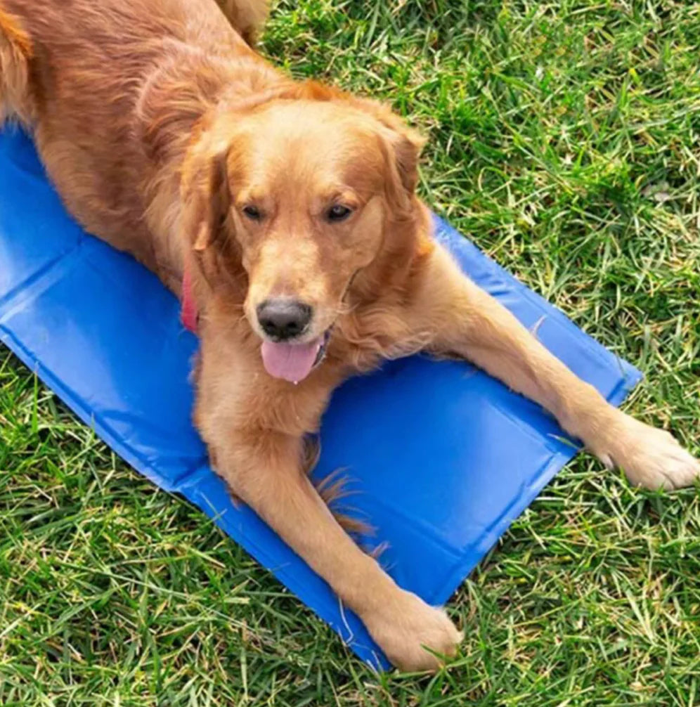 Tappetino rinfrescante in seta di ghiaccio per cani e gatti – Rinfresco nelle giornate calde