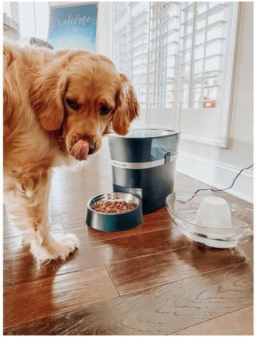 PetSafe Smart Feed Distributore Automatico di Cibo, con Controllo da Smartphone tramite App, Adatto per Cibo Secco, Capacità 1,5 L, Nero, Grigio