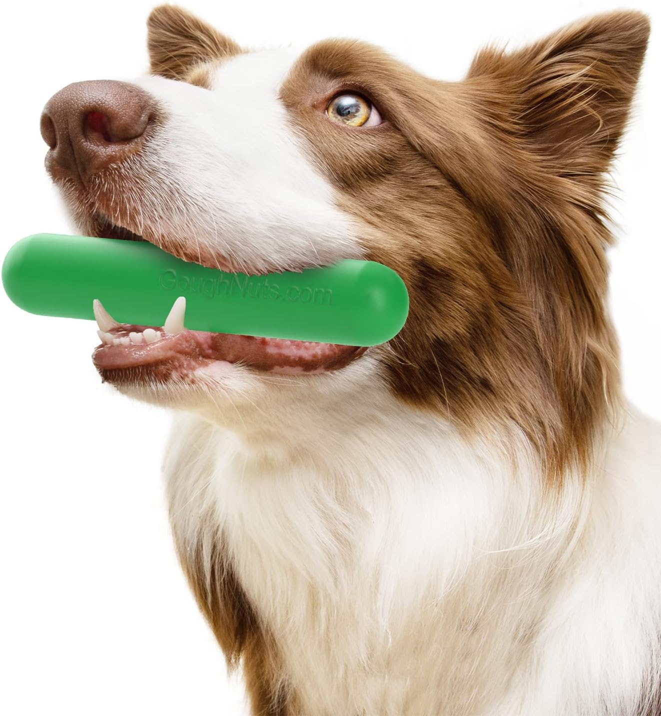 Goughnuts - Hunde-Kauspielzeug, praktisch unzerstrbar - Das Hundespielzeug für Power-Kauer hlt selbst hartnckigen Hunden Stand - Orange