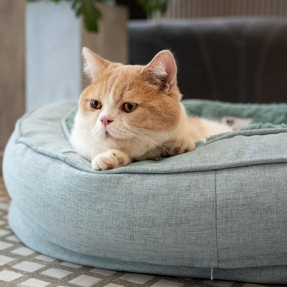 Donut Kuscheliges Orthopdisches Hundebett