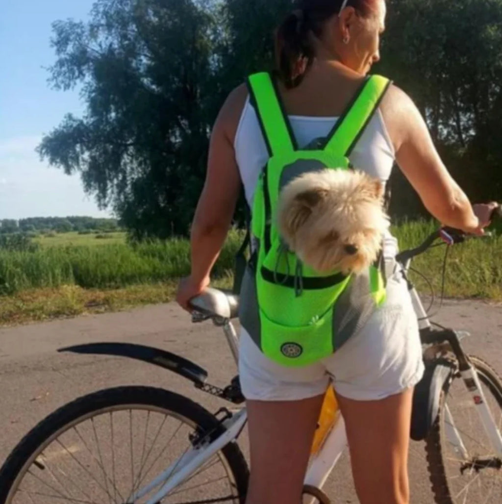 Verstellbarer Hunde-Tragerucksack für kleine & mittelgroe Hunde bis 11 kg – Komfort und Sicherheit unterwegs