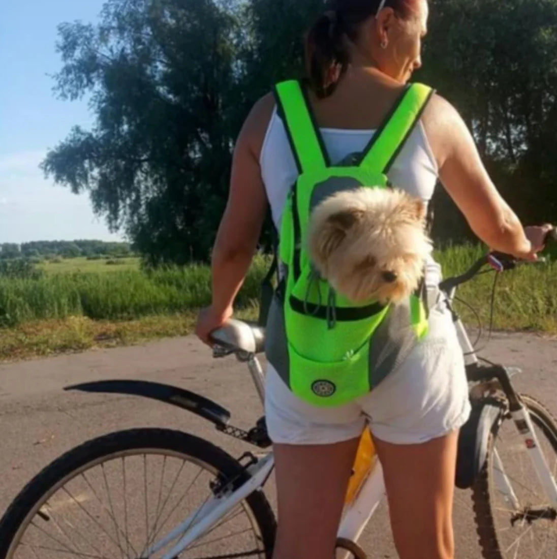 Verstellbarer Hunde-Tragerucksack für kleine & mittelgroe Hunde bis 11 kg – Komfort und Sicherheit unterwegs
