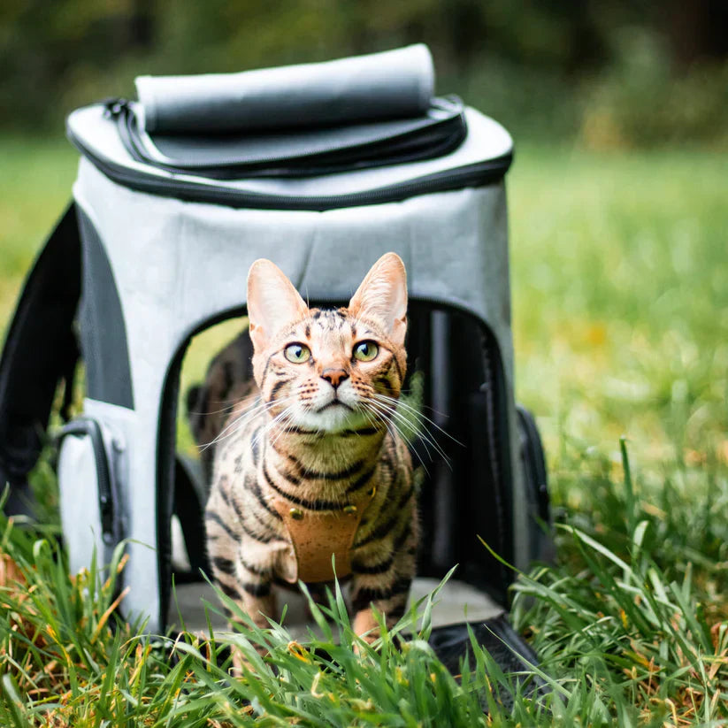 Jip | Stylischer Katzenrucksack für unterwegs