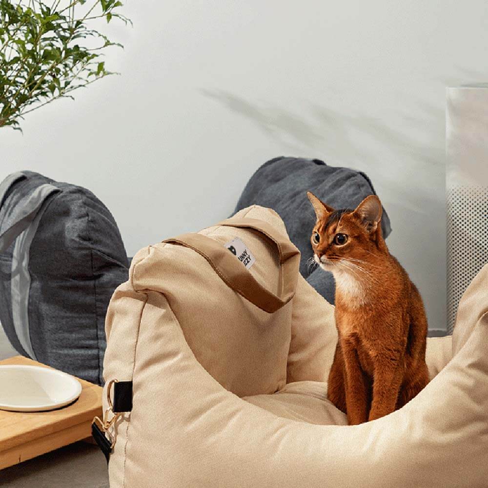 Autositz für Hunde – Sicheres und komfortables Reisen