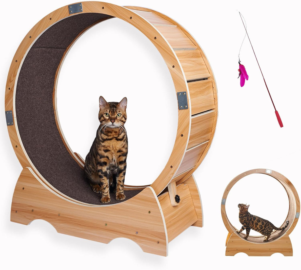 Laufrad Katze gro | Katzenrad | Laufband für Katzen | groes Cat Running Wheel für Wohnungskatzen | Cat Wheel Beschftigungsspielzeug für Katzen | Katzen Laufrad drinnen | Laufrad Katzen