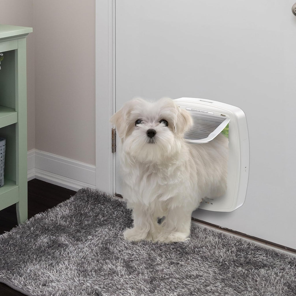 Ferplast Gattaiola per Cani di Taglia Media, Gattaiola per Gatti, Sportello per Animali Domestici a 4 Vie con Ingresso e Uscita Controllabili, con Protezione dalle Correnti d'Aria, Tunnel Completo, Sportello per Cani Swing 11, Grigio