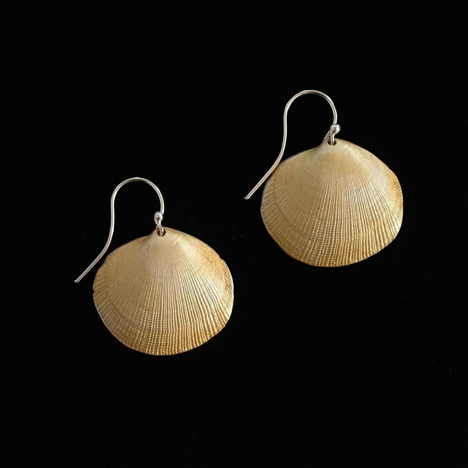 Muscheln - Ohrringe Klein