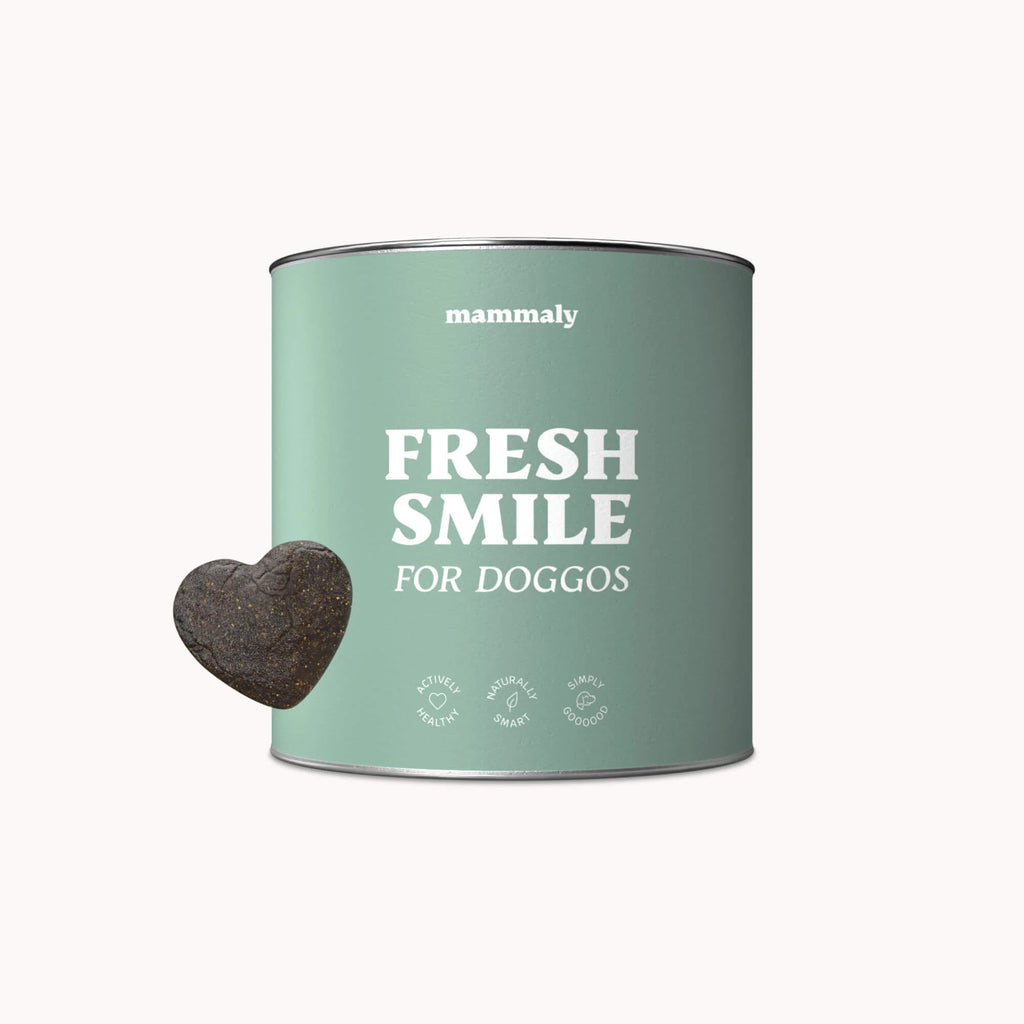 Fresh Smile
