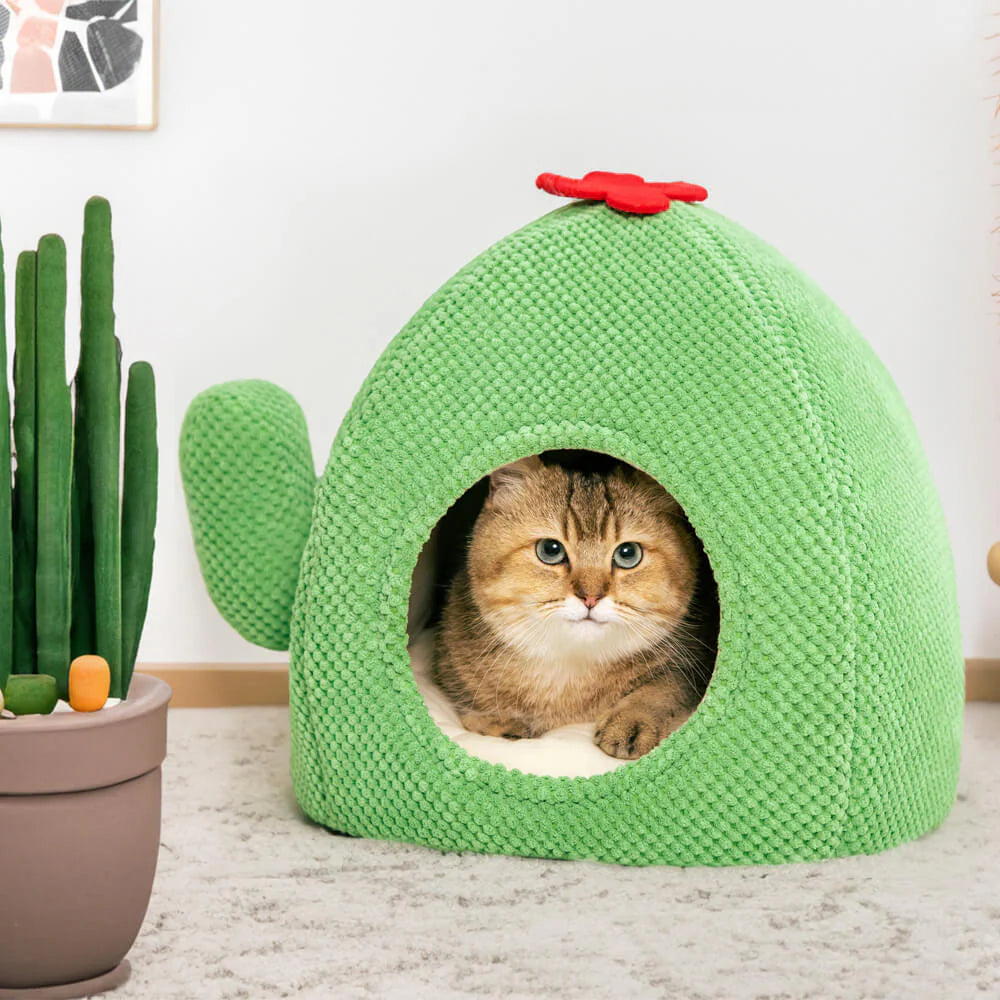 KatzenOase – Cestino a forma di cactus per ore di sonno accoglienti per i gatti