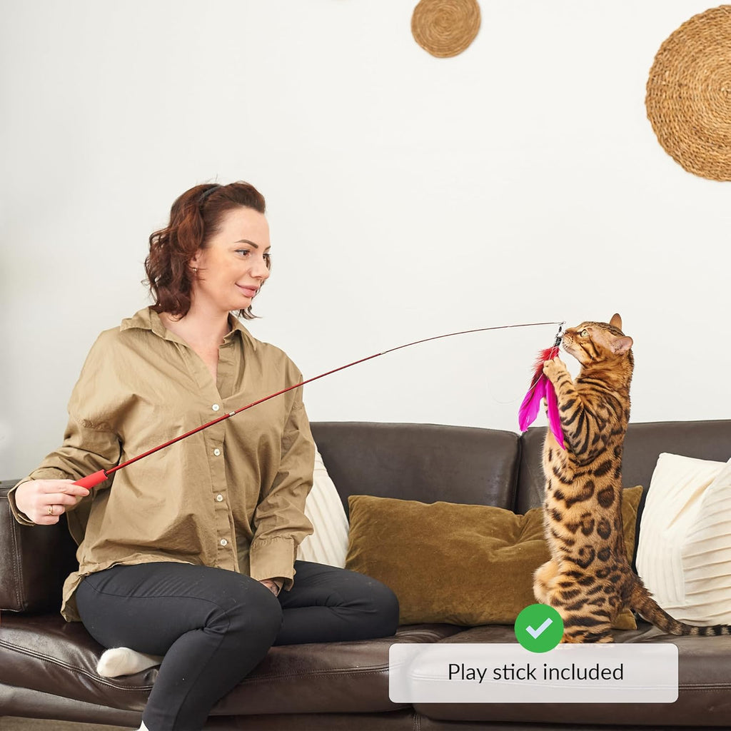 Laufrad Katze gro | Katzenrad | Laufband für Katzen | groes Cat Running Wheel für Wohnungskatzen | Cat Wheel Beschftigungsspielzeug für Katzen | Katzen Laufrad drinnen | Laufrad Katzen