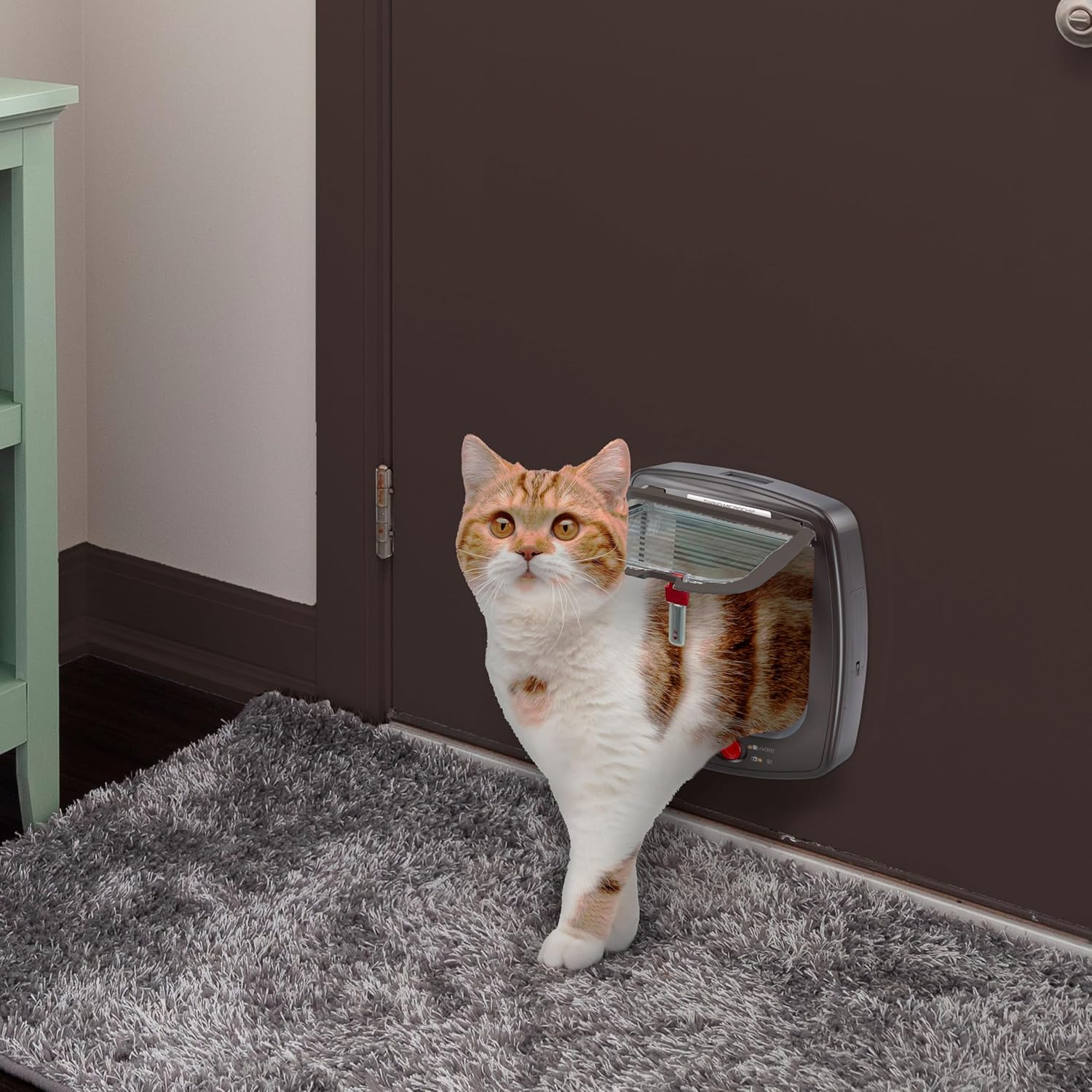 Ferplast Gattaiola per Cani di Taglia Media, Gattaiola per Gatti, Sportello per Animali Domestici a 4 Vie con Ingresso e Uscita Controllabili, con Protezione dalle Correnti d'Aria, Tunnel Completo, Sportello per Cani Swing 11, Grigio