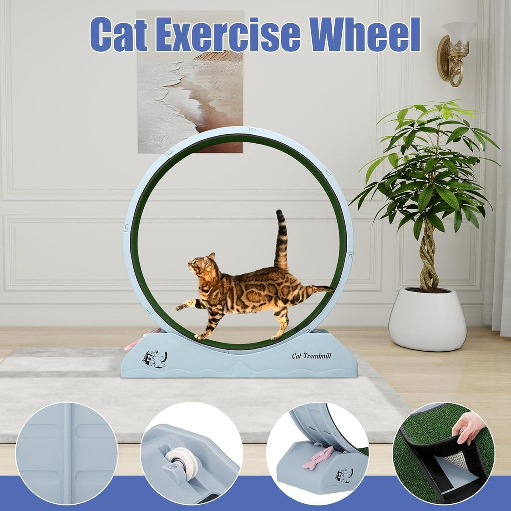 Eventerde Ruota per esercizi per gatti - Ruota per gatti | Attrezzatura da fitness per gattini | Ruota da corsa con teaser per gatti da interni per la perdita di peso, Tapis roulant per gattini a basso rumore