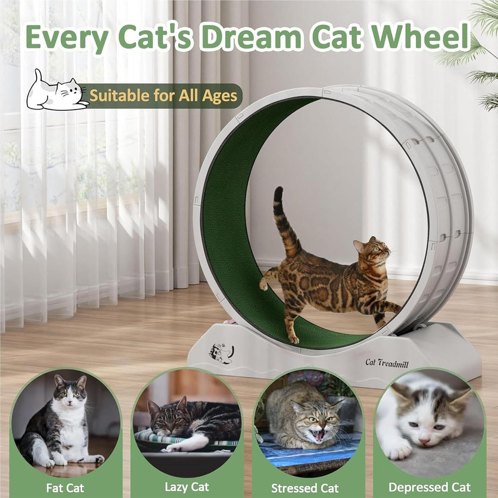 Eventerde Ruota per esercizi per gatti - Ruota per gatti | Attrezzatura da fitness per gattini | Ruota da corsa con teaser per gatti da interni per la perdita di peso, Tapis roulant per gattini a basso rumore
