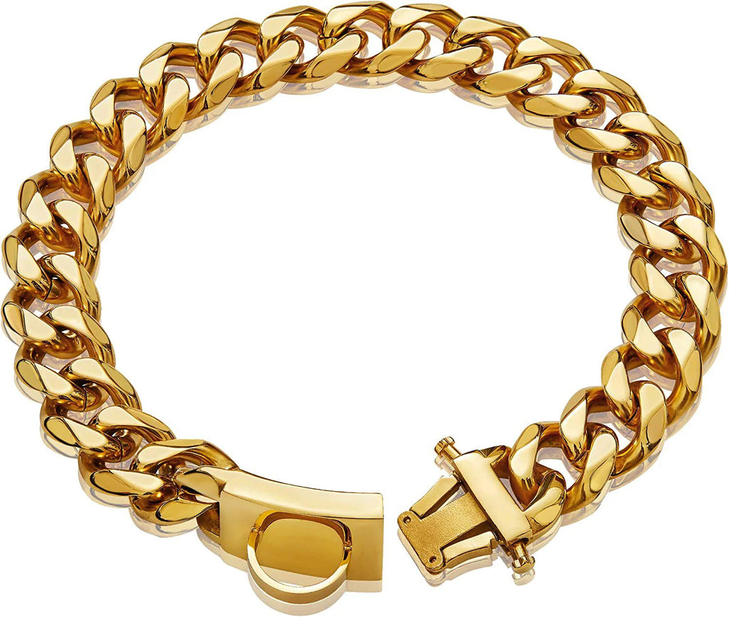Collana per cani in acciaio al titanio