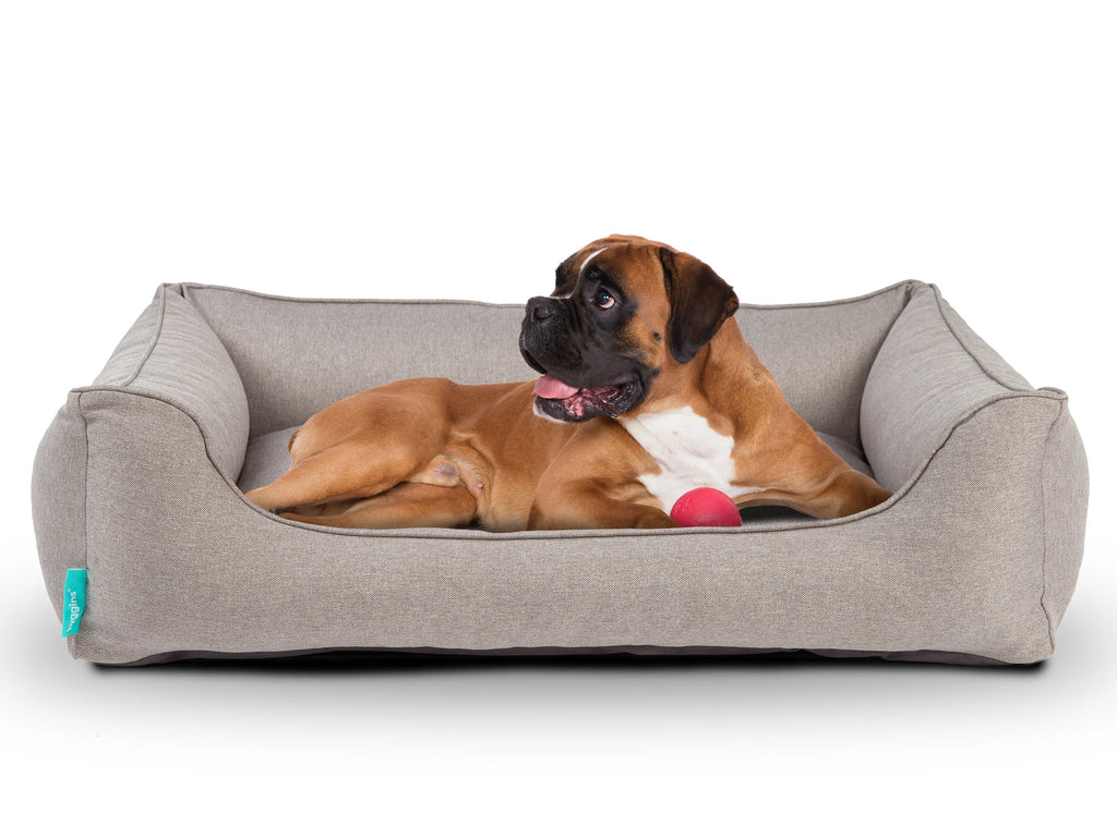 Dreamer Plus Hundebett