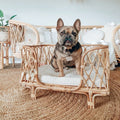 Natur-Rattan-Hundebett – Handgefertigter Komfort für stilvolle Entspannung
