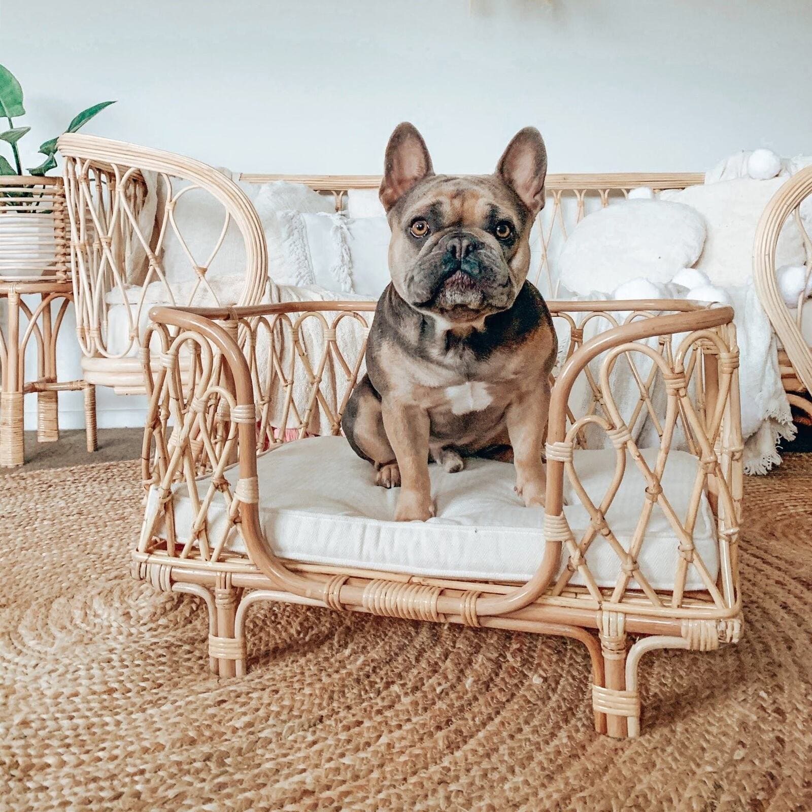 Natur-Rattan-Hundebett – Handgefertigter Komfort für stilvolle Entspannung