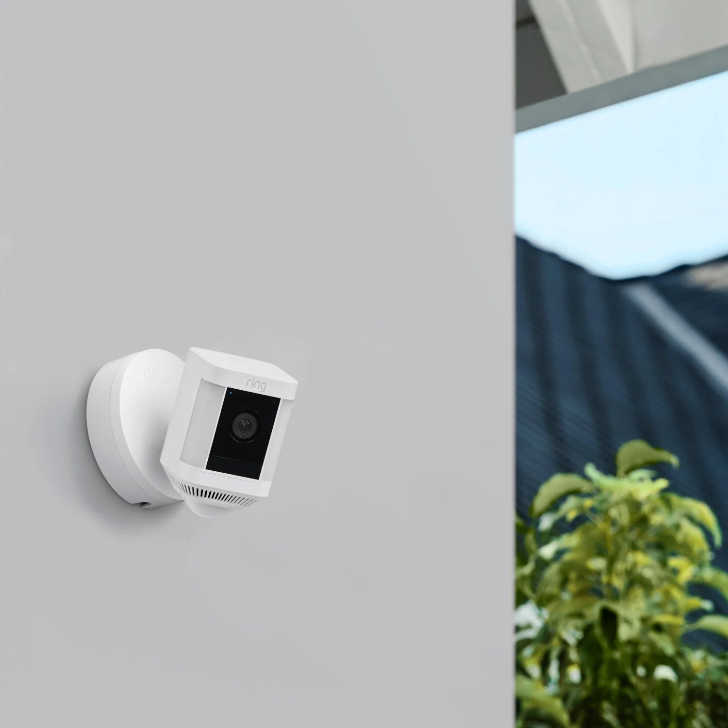 4-Pack Spotlight Cam Plus Wired