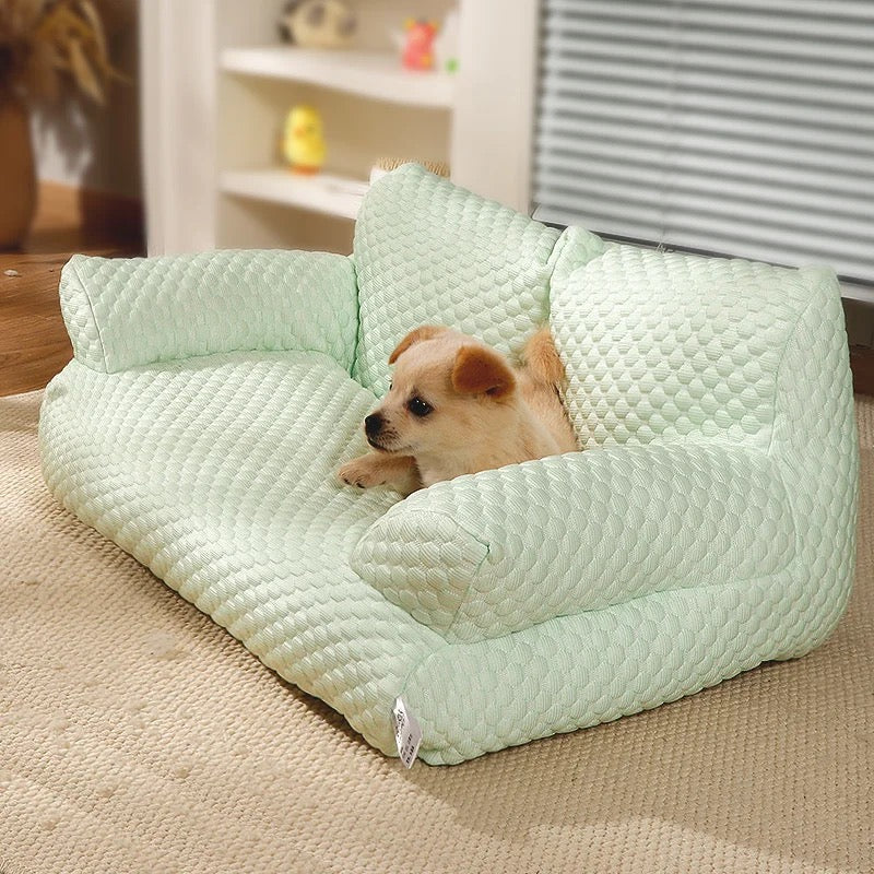 Erfrischende Hundecouch - Komfort und Kühlung in Einem