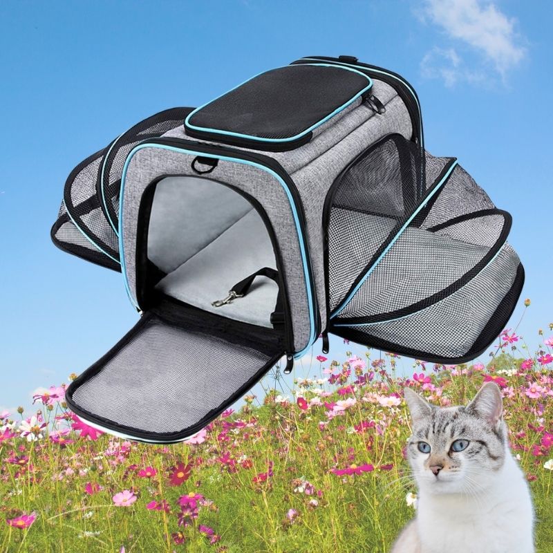 HundeJoy Premium Katzen-Tragetasche – Der sichere und stilvolle Begleiter für Ihre Reisen