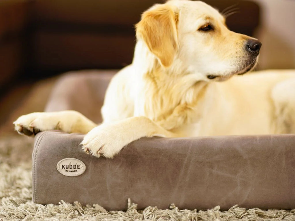 Hundebett KUDDE Wildlederoptik