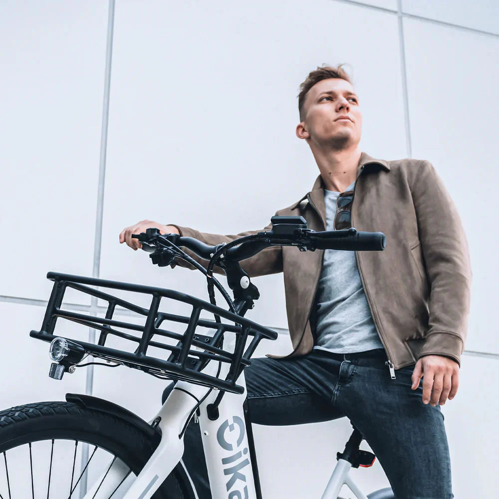 Cikada Fahrradkorb gro