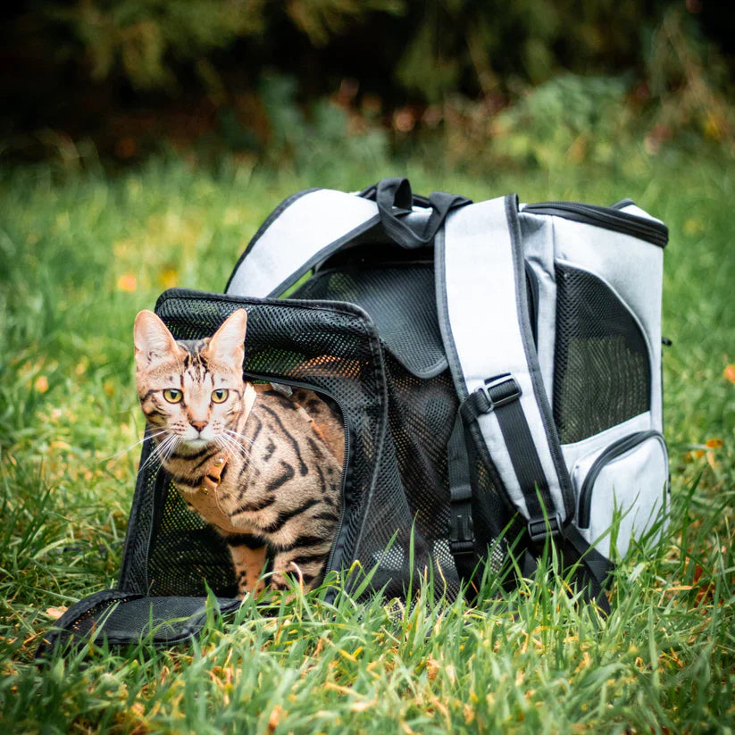 Jip | Stylischer Katzenrucksack für unterwegs