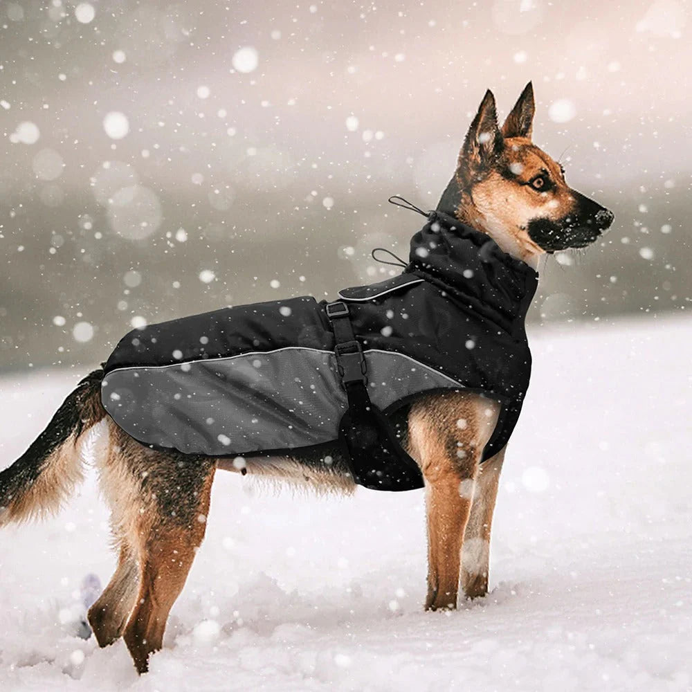 Wuffy - Wasserdichte Winterjacke für Hunde | Warm und Bequem bei jedem Wetter