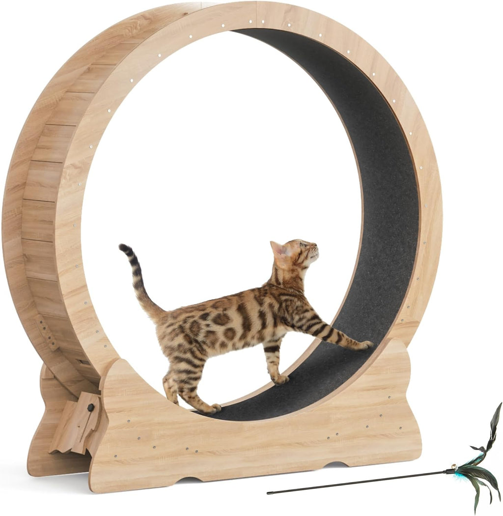 Mondeer Ruota per gatti da interno, tapis roulant da 110 cm con tappeto rimovibile, ruota da corsa in legno per gatti di taglia piccola, media e grande, attrezzo per fitness e perdita di peso, nero