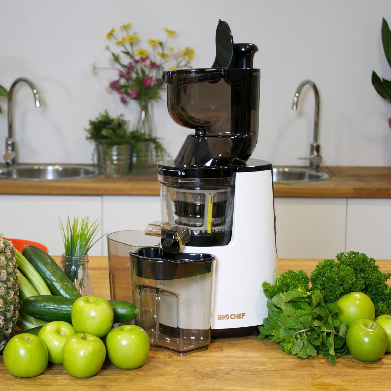 BioChef Atlas Whole Slow Juicer - Per frutta intera / Estrattore di succo / 250W / Con doppia apertura ampia e garanzia a vita sul motore - Rosso