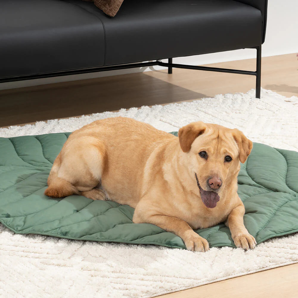 Coperta per cani a forma di foglia per persone - Tappetino comfort extra large