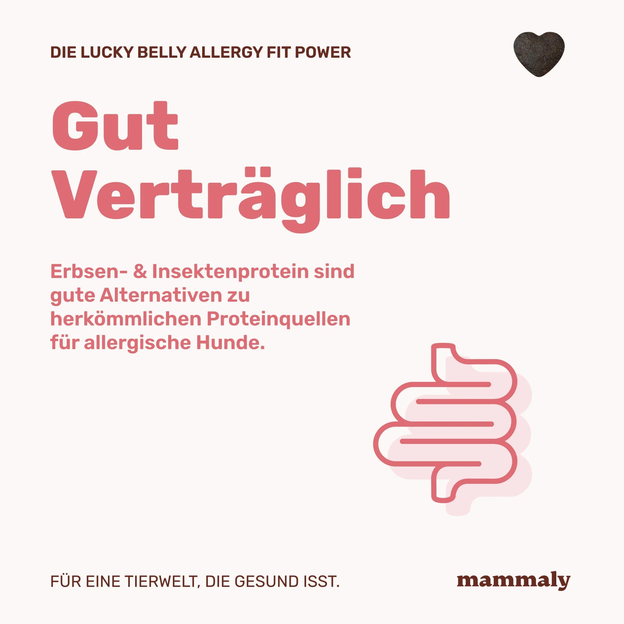 Lucky Belly Allergy Fit