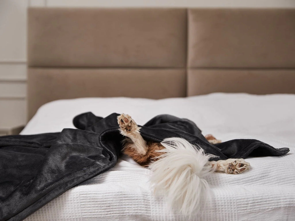 Coperta per cani Mynki