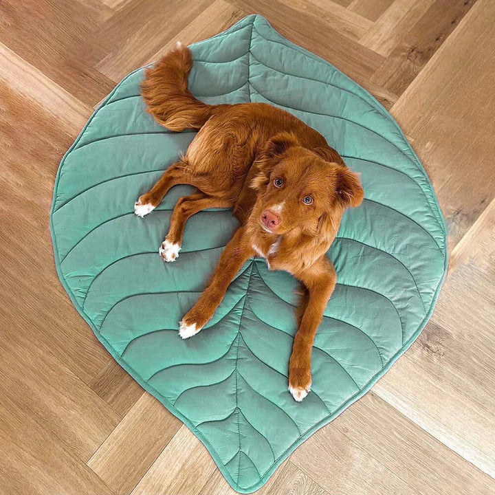 Pip | Coperta soffice per cani