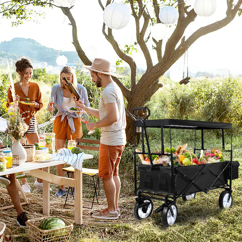 Carrello Pieghevole da Trasporto Sonnewelt Bollerwagen con Tetto, Portata 80 kg