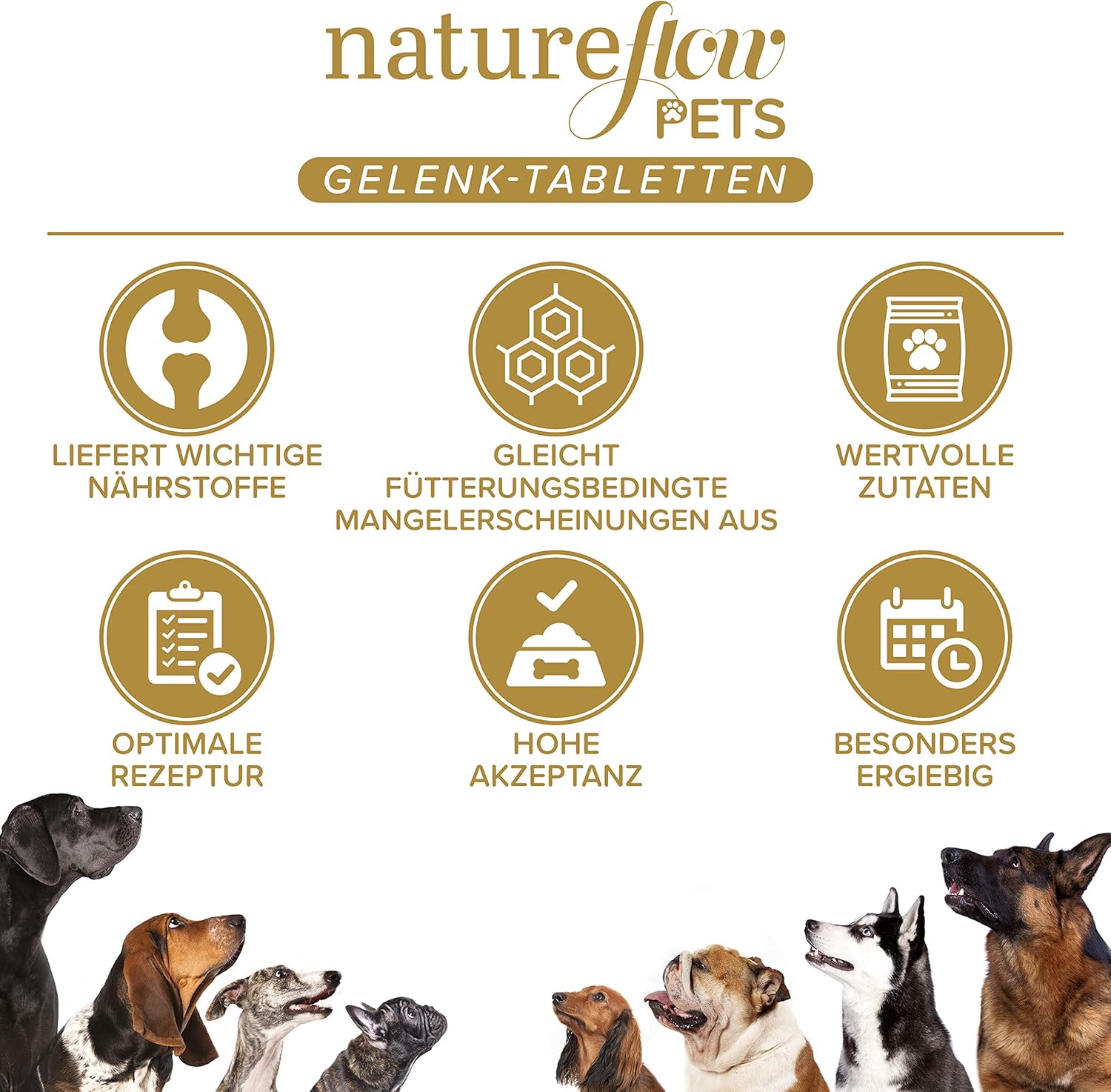 NATUREFLOW Compresse Articolari Cani – Confronto MOLTO BUONO Made in Germany con Cozza Verde, MSM e Artiglio del Diavolo - Non capsule, elevata accettazione Compresse Articolari Cane - 300 Pezzi Fornitura