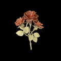 Spilla Rosa Rossa - Statement