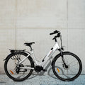 Swoop Bicicletta Ibrida Elettrica, Donna 28
