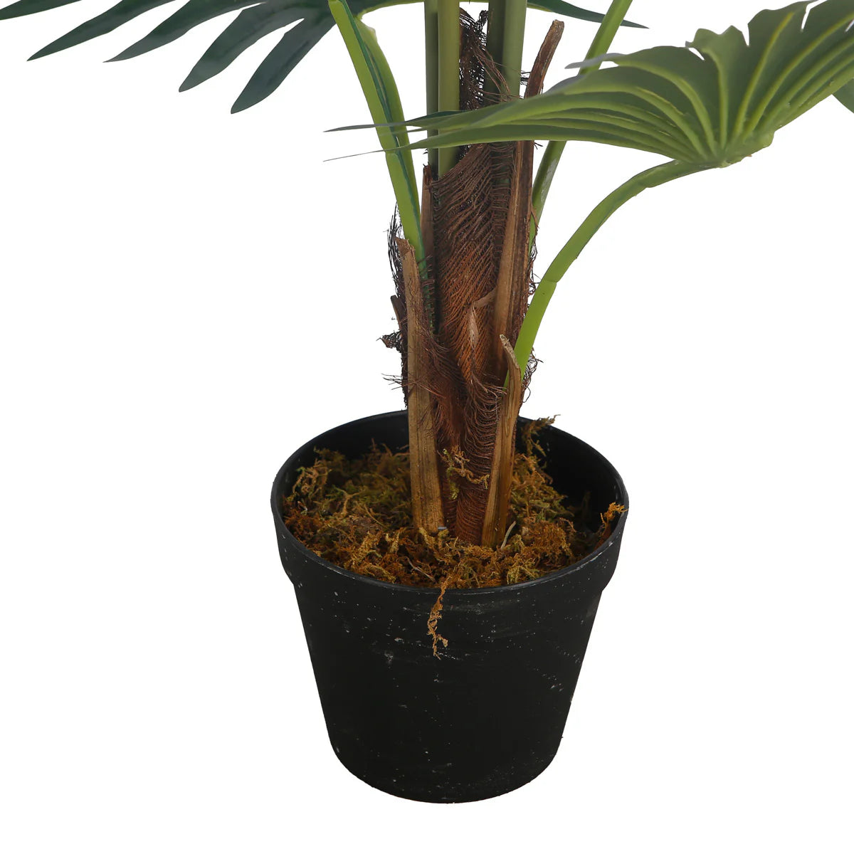 Lykke Künstliche Pflanze Fcherpalme 100cm