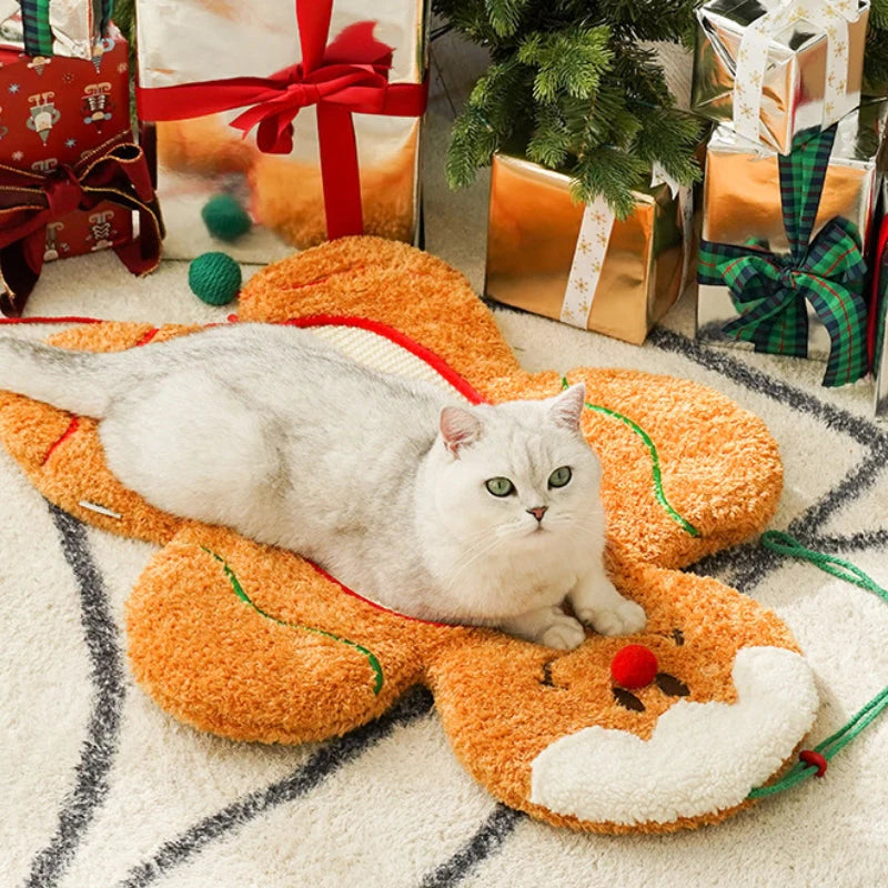 FunkyPaws – Vielseitiges Katzenbett und Kratzbrett für Spiel und Entspannung