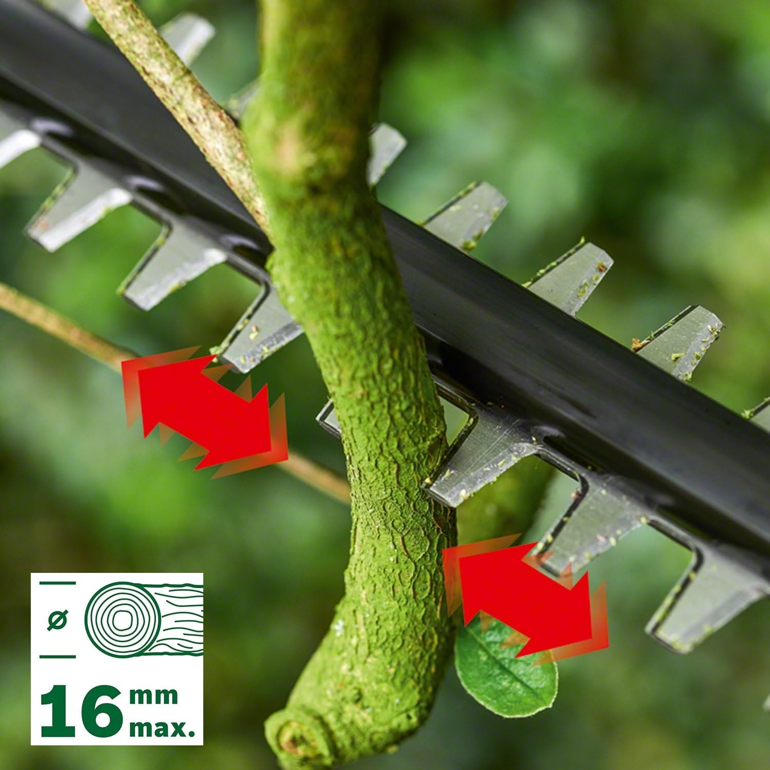 Bosch Akku Teleskop Heckenschere UniversalHedgePole 18 (1 Akku, 2,5 Ah, 18 Volt System, im Karton)